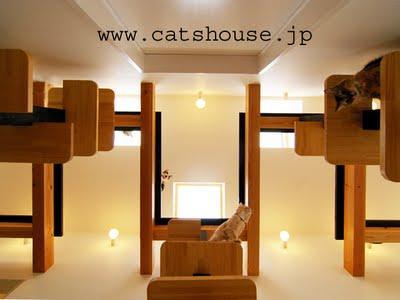 pet week - cat house