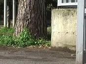 Marcianise (CE) (sempre) GIOVANE ITALIA (28.03.11)