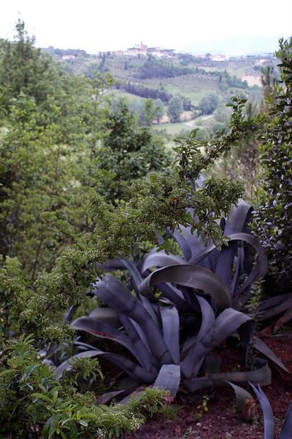 L'ALBA SULLA COLLINA