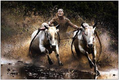 Buffalo Race, rotoliamoci nel fango (foto)