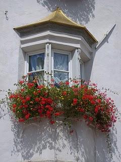 A caccia di finestre in fiore/ Hunting flowery windows