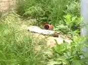 Aversa parco Ninì Grassia (02.05.11)