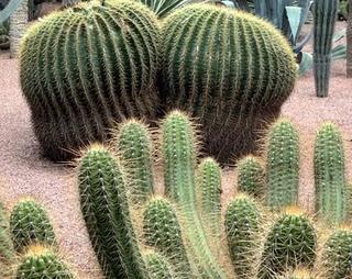 Marrakech, nonostante le bombe