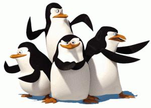 madagascar_pinguini