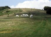 Alla scoperta Pratomagno