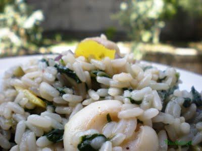 Risotto Seppie e Biete con Scorza di Limone