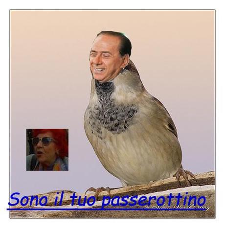Silvio è un Passerottino. Un bacino Silviuccio da una sua fan.
