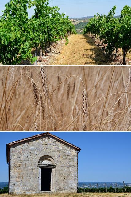 UN WEEKEND IN UMBRIA CON FARCHIONI1780 E UMBRIA JAZZ UN WEEKEND IN UMBRIA CON FARCHIONI1780 E UMBRIA JAZZ