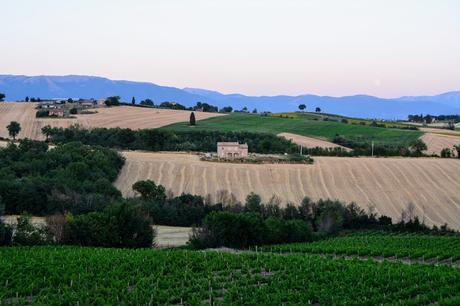 UN WEEKEND IN UMBRIA CON FARCHIONI1780 E UMBRIA JAZZ UN WEEKEND IN UMBRIA CON FARCHIONI1780 E UMBRIA JAZZ