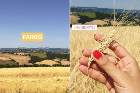 UN WEEKEND IN UMBRIA CON FARCHIONI1780 E UMBRIA JAZZ UN WEEKEND IN UMBRIA CON FARCHIONI1780 E UMBRIA JAZZ