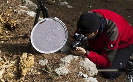 La falsa innovazione della fotografia digitale La falsa innovazione della fotografia digitale