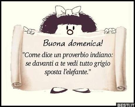 comunque queste immagini non… comunque queste immagini non…