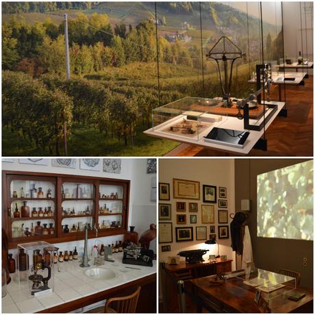 cosa vedere a conegliano cosa vedere a conegliano