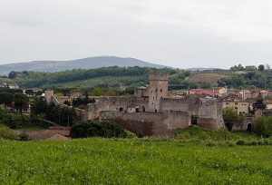 brunello montalcino - Toscana