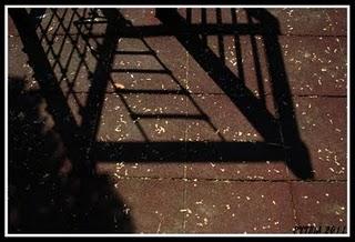 9/52 - La gabbia d'ombra