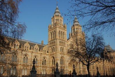 NATURAL HISTORY MUSEUM: MUSEO DI STORIA NATURALE