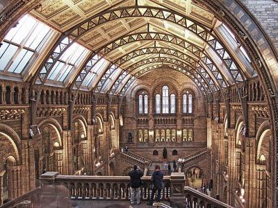 NATURAL HISTORY MUSEUM: MUSEO DI STORIA NATURALE