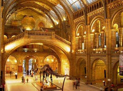 NATURAL HISTORY MUSEUM: MUSEO DI STORIA NATURALE