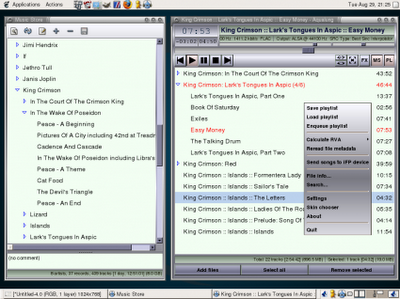 Aqualung è un ottimo player musicale per GNU/Linux  che offre anche un database musicale.