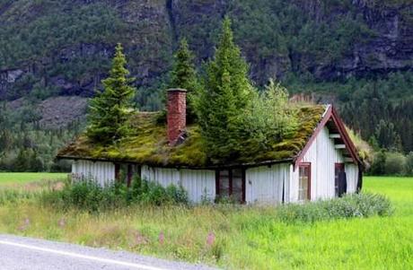 Green roof