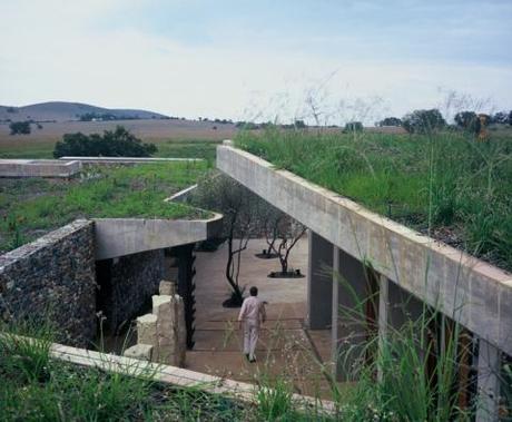 Green roof