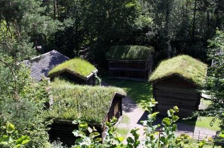 Green roof