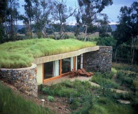 Green roof