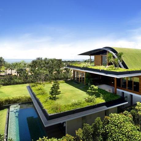 Green roof