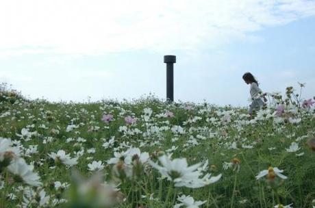 Green roof