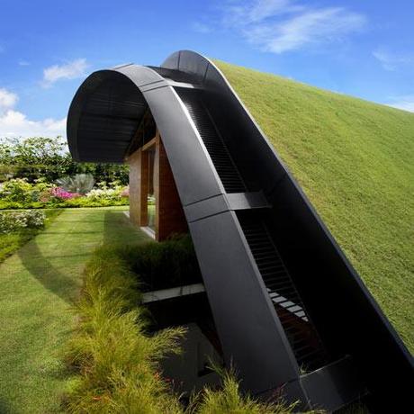 Green roof