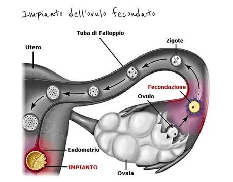 Gli ostacoli alla vita: contraccezione e aborto