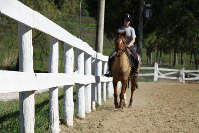 Agnese ha ripreso a montare a cavallo