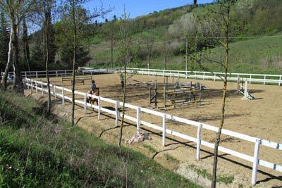 Agnese ha ripreso a montare a cavallo