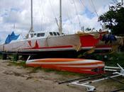 "biondina nera" matteo miceli torna casa