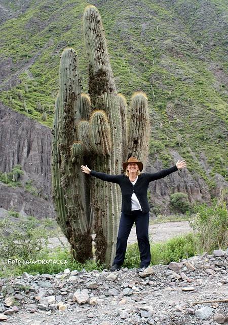 ¡¡QUERIDA ARGENTINA!!