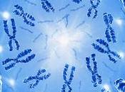 Essere Felici? Dipende gene!