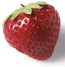 Tè di maggio aromatizzato alla fragola