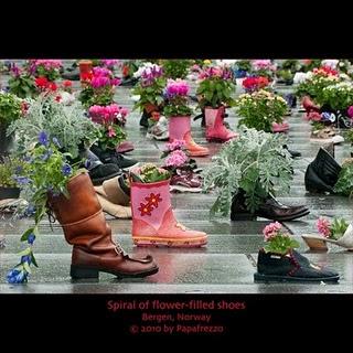 Piantali negli stivali e guarda crescere il tuo giardino!