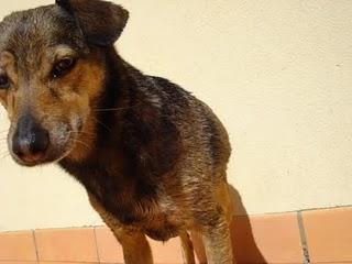 POMERIGGIO IN TERRAZZA