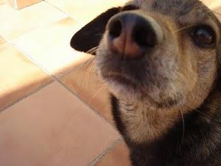 POMERIGGIO IN TERRAZZA