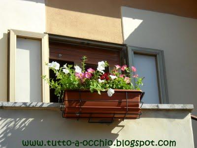 La primavera sul balcone - Bavarese alle fragole (senza uova)