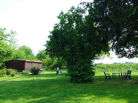 Baptism at the countryside