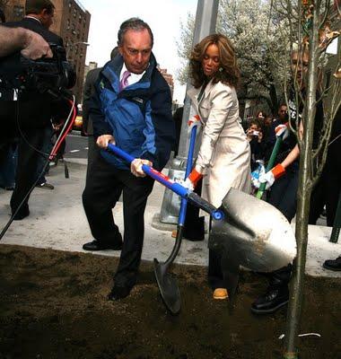 PER UN MILIONE DI ALBERI