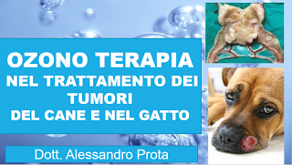 L’OZONOTERAPIA NEL TRATTAMENTO DEI TUMORI NEL CANE E NEL GATTO L’OZONOTERAPIA NEL TRATTAMENTO DEI TUMORI NEL CANE E NEL GATTO