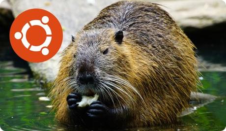 ubuntu-beaver ubuntu-beaver