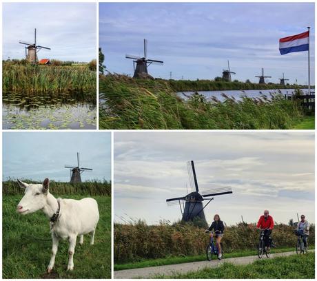 Un weekend a Rotterdam: cosa fare e cosa vedere Un weekend a Rotterdam: cosa fare e cosa vedere