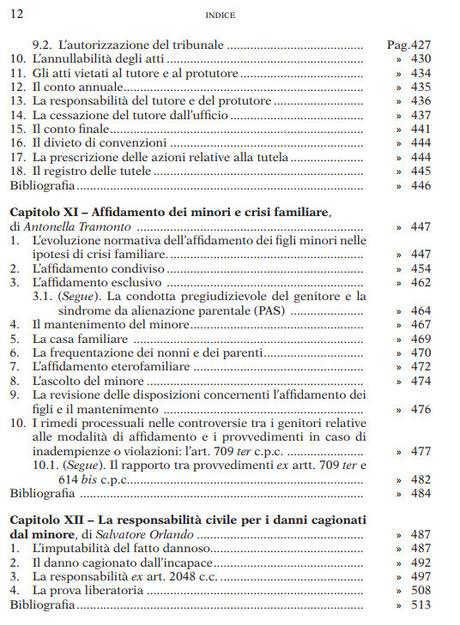 MACRILLO’ ARMANDO (a cura di), I diritti del minore e la tutela giurisdizionale. Curatela, tutela, affidamento, difesa. Maggioli editore, 2015 MACRILLO’ ARMANDO (a cura di), I diritti del minore e la tutela giurisdizionale. Curatela, tutela, affidamento, difesa. Maggioli editore, 2015