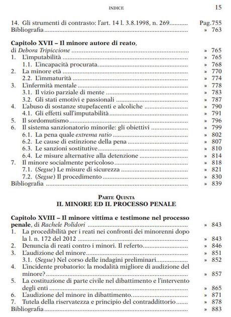 MACRILLO’ ARMANDO (a cura di), I diritti del minore e la tutela giurisdizionale. Curatela, tutela, affidamento, difesa. Maggioli editore, 2015 MACRILLO’ ARMANDO (a cura di), I diritti del minore e la tutela giurisdizionale. Curatela, tutela, affidamento, difesa. Maggioli editore, 2015
