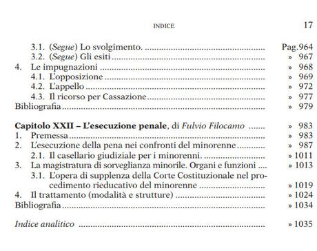 MACRILLO’ ARMANDO (a cura di), I diritti del minore e la tutela giurisdizionale. Curatela, tutela, affidamento, difesa. Maggioli editore, 2015 MACRILLO’ ARMANDO (a cura di), I diritti del minore e la tutela giurisdizionale. Curatela, tutela, affidamento, difesa. Maggioli editore, 2015