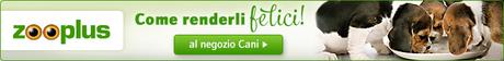 Doppio miracolo cercasi! Adozione di coppia per Leia e Karim, perché possano trascorrere l'ultima parte della loro vita al sicuro zooplus.it